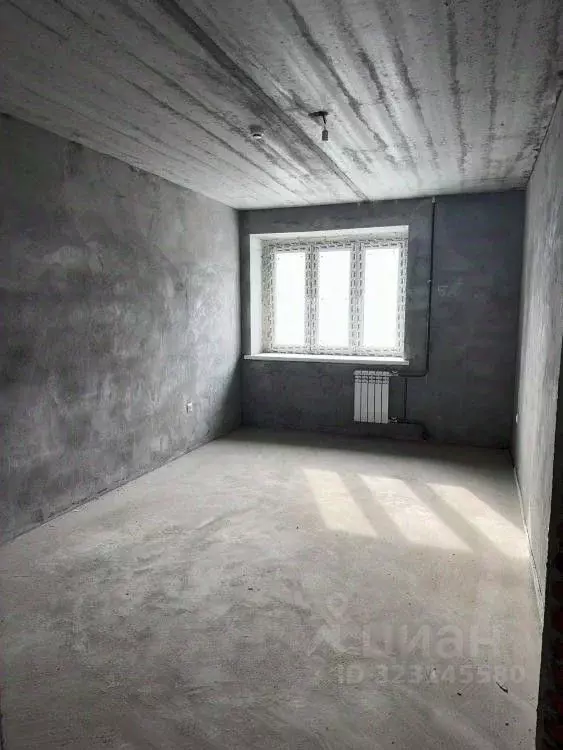 1-к кв. Амурская область, Благовещенский район, с. Чигири ул. ... - Фото 2