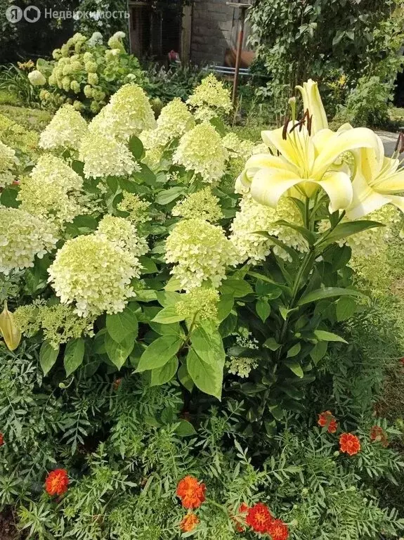 Дом в Можайск, Москворецкая улица, 8 (220 м) - Фото 1