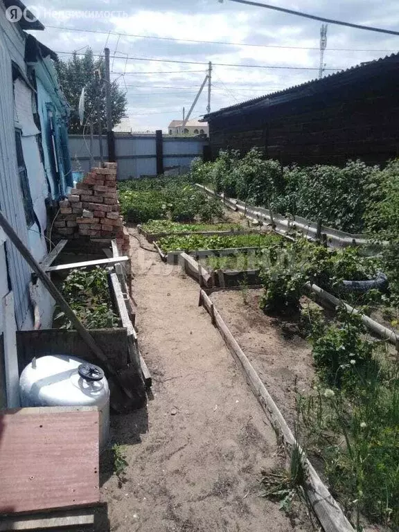 Дом в Борзя, улица Метелицы (65.5 м) - Фото 1