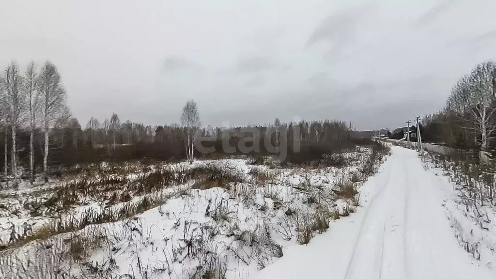 Участок в Тюменская область, Нижнетавдинский район, Березка СНТ  (8.3 ... - Фото 0