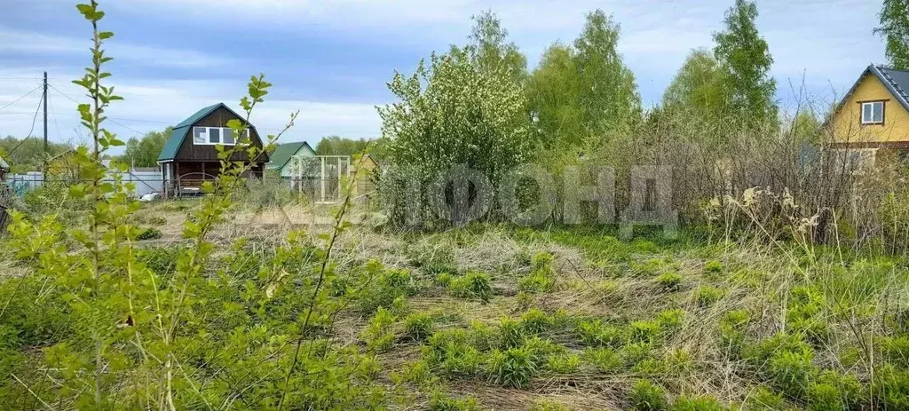 Участок в Новосибирская область, Бердск Вега-3 СНТ,  (5.1 сот.) - Фото 0
