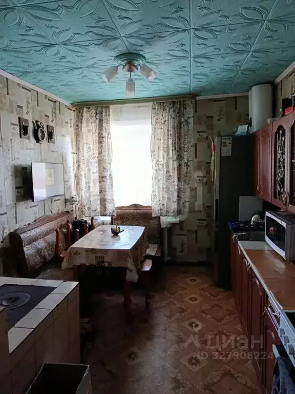 Дом в Амурская область, Благовещенский район, с. Новотроицкое  (65 м) - Фото 1