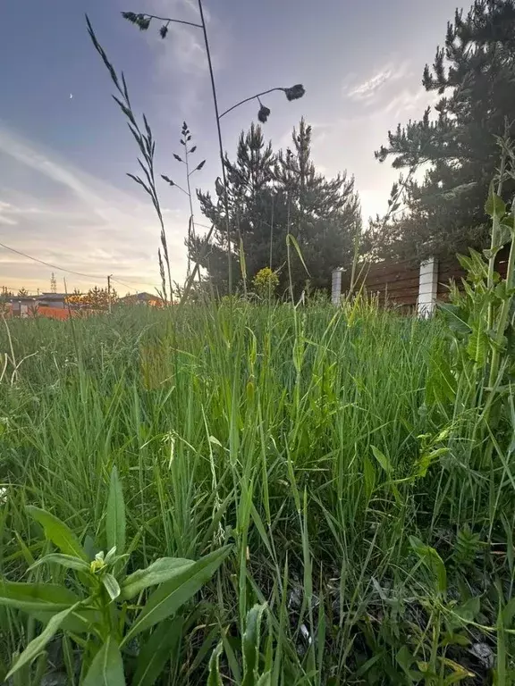 участок в свердловская область, сысертский городской округ, пос. . - Фото 1