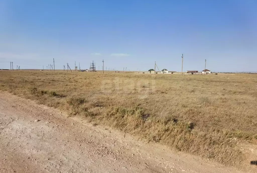 Участок в Крым, Черноморский район, Медведевское с/пос, с. Медведево ... - Фото 1