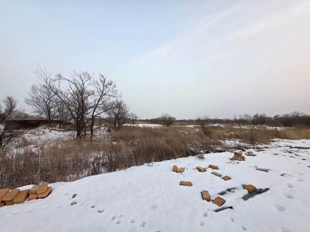 Участок в Приморский край, с. Михайловка ул. Мира (15.0 сот.) - Фото 2