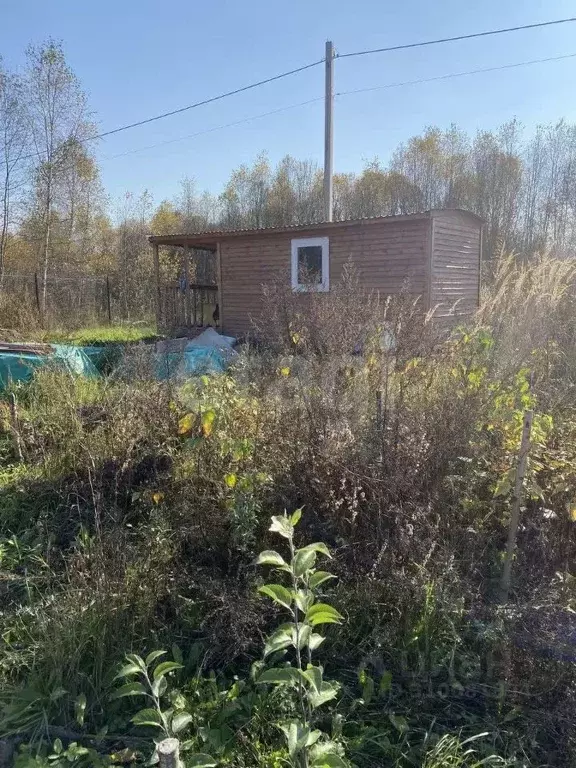 Участок в Калужская область, Боровский район, Совьяки с/пос, д. Сатино ... - Фото 0