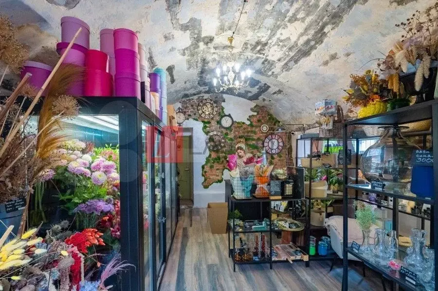 Сдам помещение свободного назначения, 23 м - Фото 0
