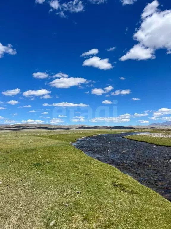 Участок в Алтай, Кош-Агачский район, с. Ташанта  (5250.0 сот.) - Фото 1