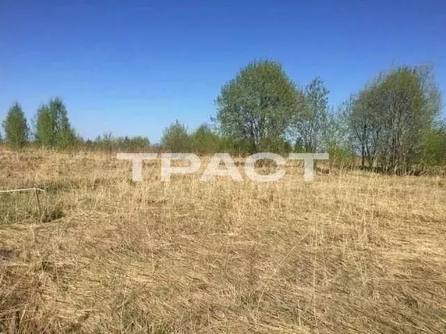 Участок в Воронежская область, Рамонский район, Березовское с/пос, д. ... - Фото 1