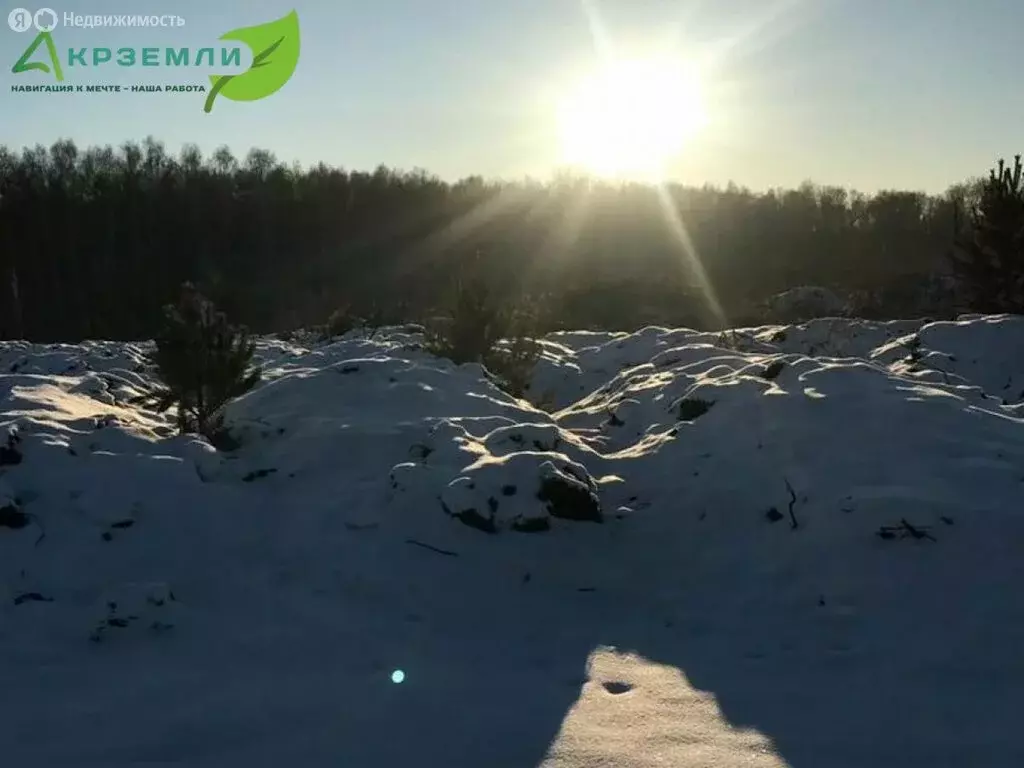 Участок в Кременкульское сельское поселение (446.71 м) - Фото 1