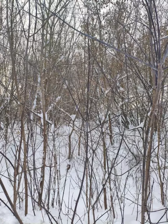 Участок в Московская область, Шатура  (20.0 сот.) - Фото 2