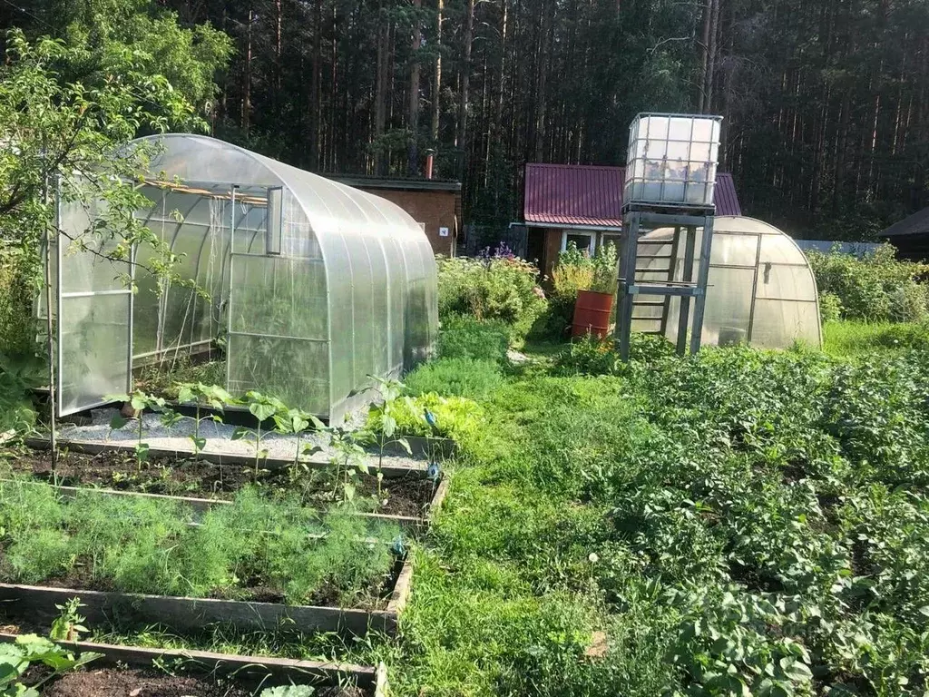 Участок в Свердловская область, Екатеринбург Луч СНТ, 21 (7.0 сот.) - Фото 2