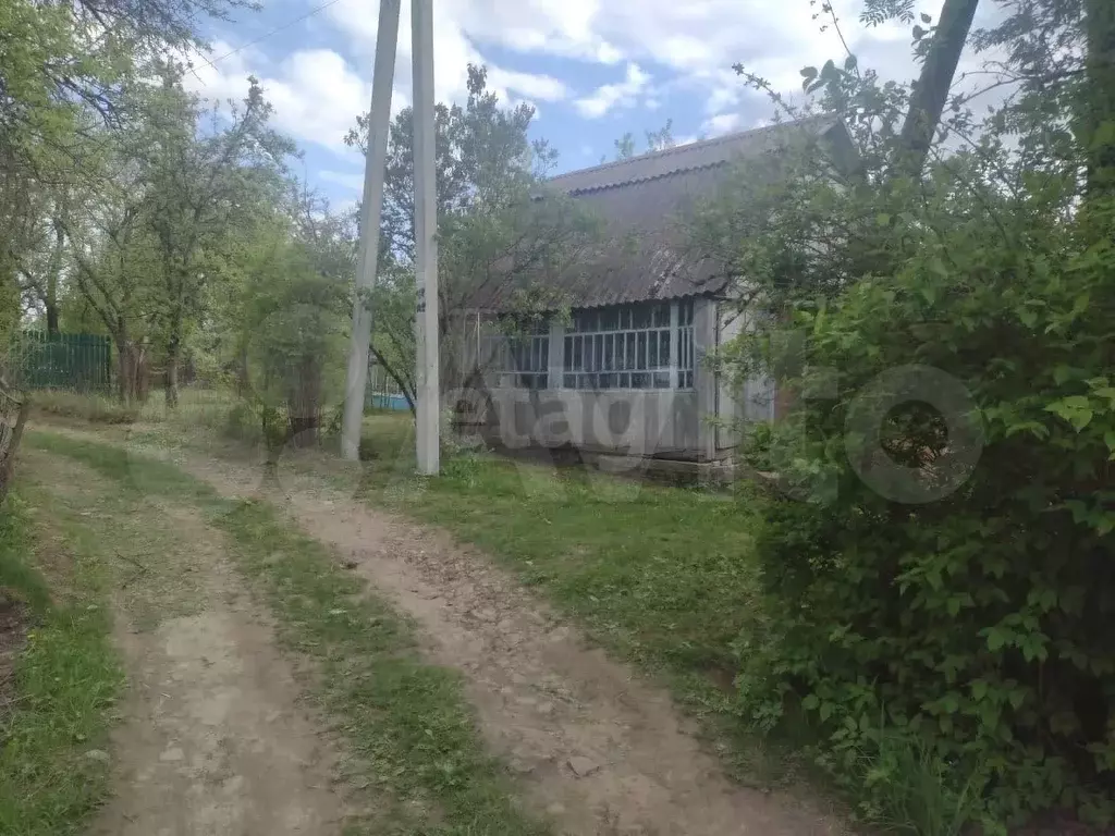 Участок 9,7 сот. (СНТ, ДНП) - Фото 1