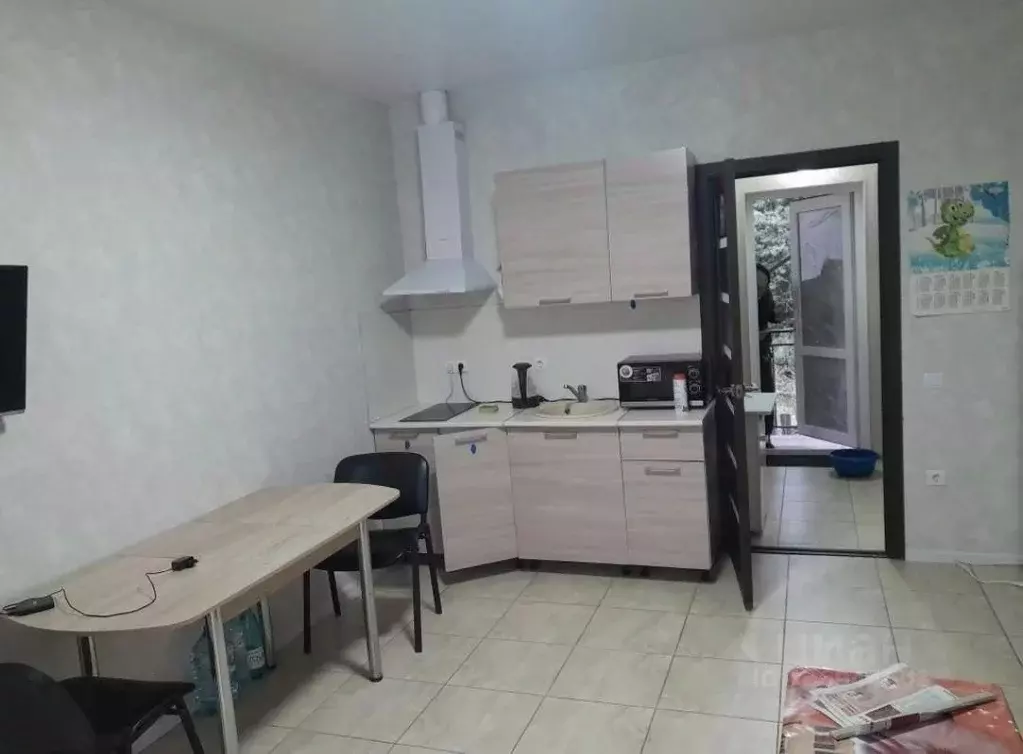 Студия Краснодарский край, Сочи ул. Яна Фабрициуса, 183 (30.0 м) - Фото 2