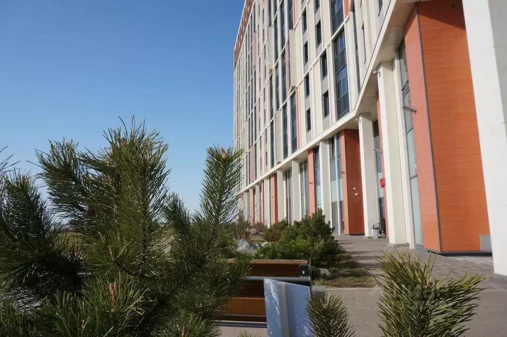 2-к кв. Санкт-Петербург наб. Миклухо-Маклая, 1к1 (64.0 м) - Фото 2