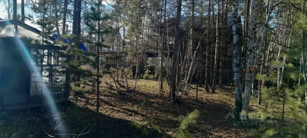 Участок в Саха (Якутия), Якутск городской округ, с. Маган  (6.0 сот.) - Фото 1
