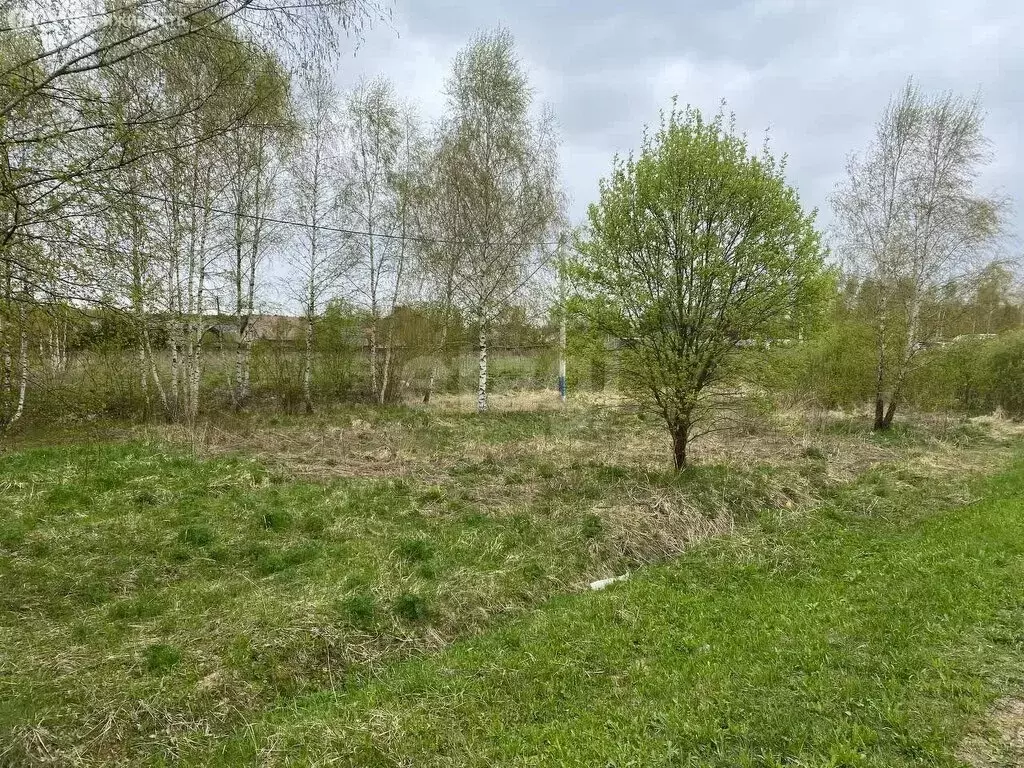 Участок в Московская область, городской округ Красногорск, деревня ... - Фото 1