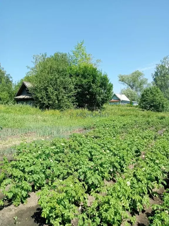 Дом в Нижегородская область, Перевозский городской округ, д. ... - Фото 0