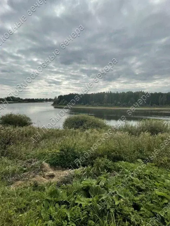 Участок в Смоленская область, Сычевский муниципальный округ, д. ... - Фото 1