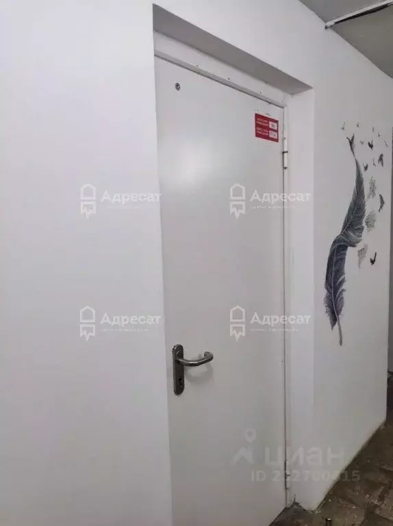 Офис в Волгоградская область, Волгоград Жилгородок мкр, ул. Маршала ... - Фото 1