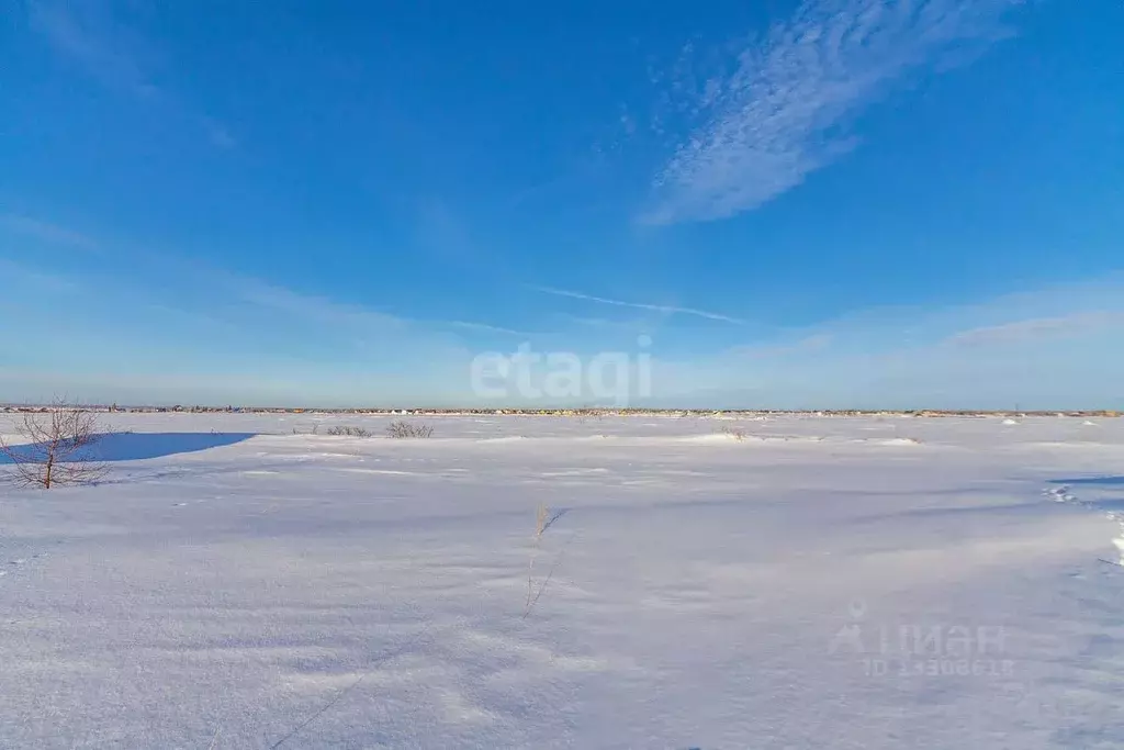 Участок в Омская область, Омский район, с. Надеждино Новая ул. (9.7 ... - Фото 1