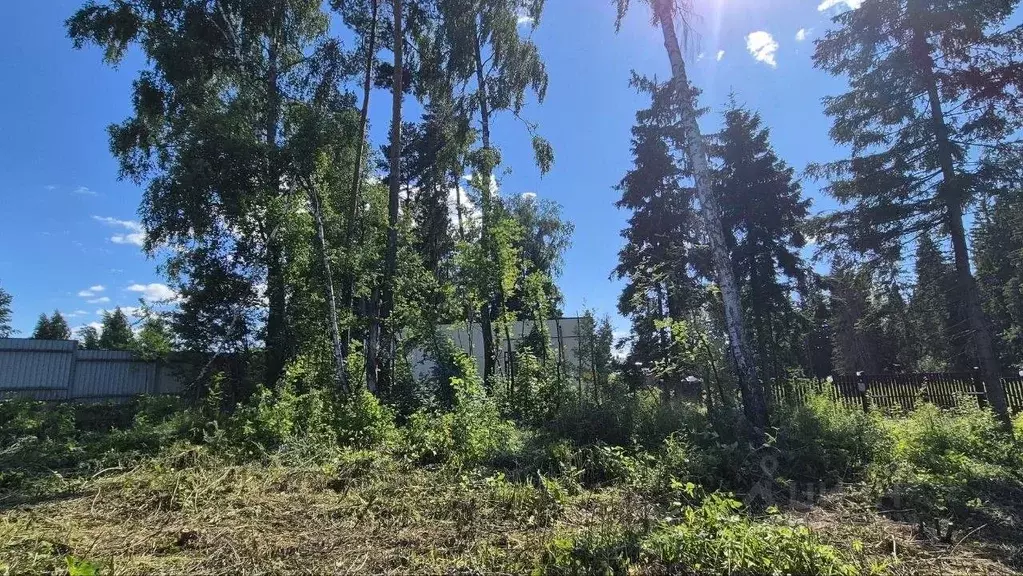 Участок в Московская область, Солнечногорск городской округ, ... - Фото 2