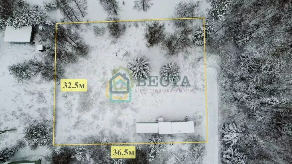 Участок в Ленинградская область, Приозерский район, Сосновское с/пос, ... - Фото 2