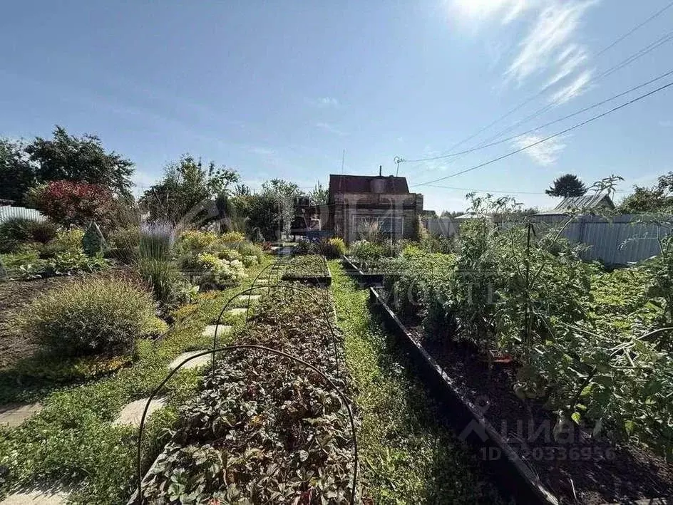 Дом в Пензенская область, Пенза Пчелка СНТ, 33 (25 м) - Фото 1