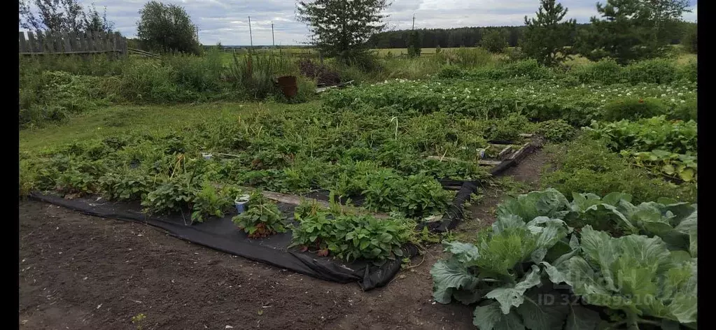 Дом в Свердловская область, Белоярский муниципальный округ, д. ... - Фото 2