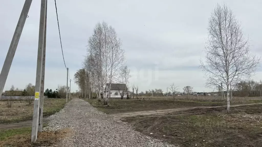 Участок в Кемеровская область, Кемеровский муниципальный округ, с. ... - Фото 2
