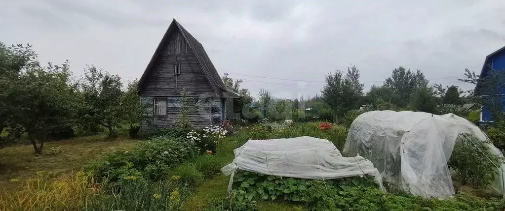 Дом в Ярославская область, Рыбинский муниципальный округ, Лесное-6 СНТ ... - Фото 1