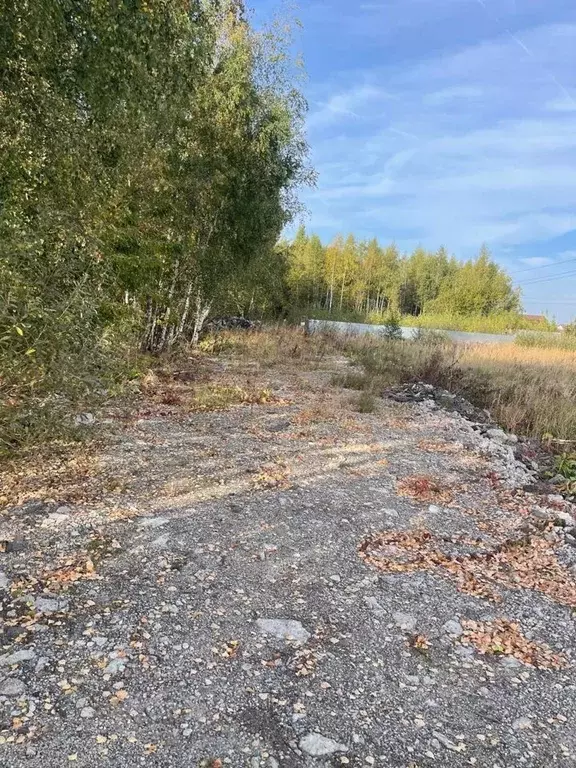 Участок в Московская область, Коломна городской округ, пос. ... - Фото 1