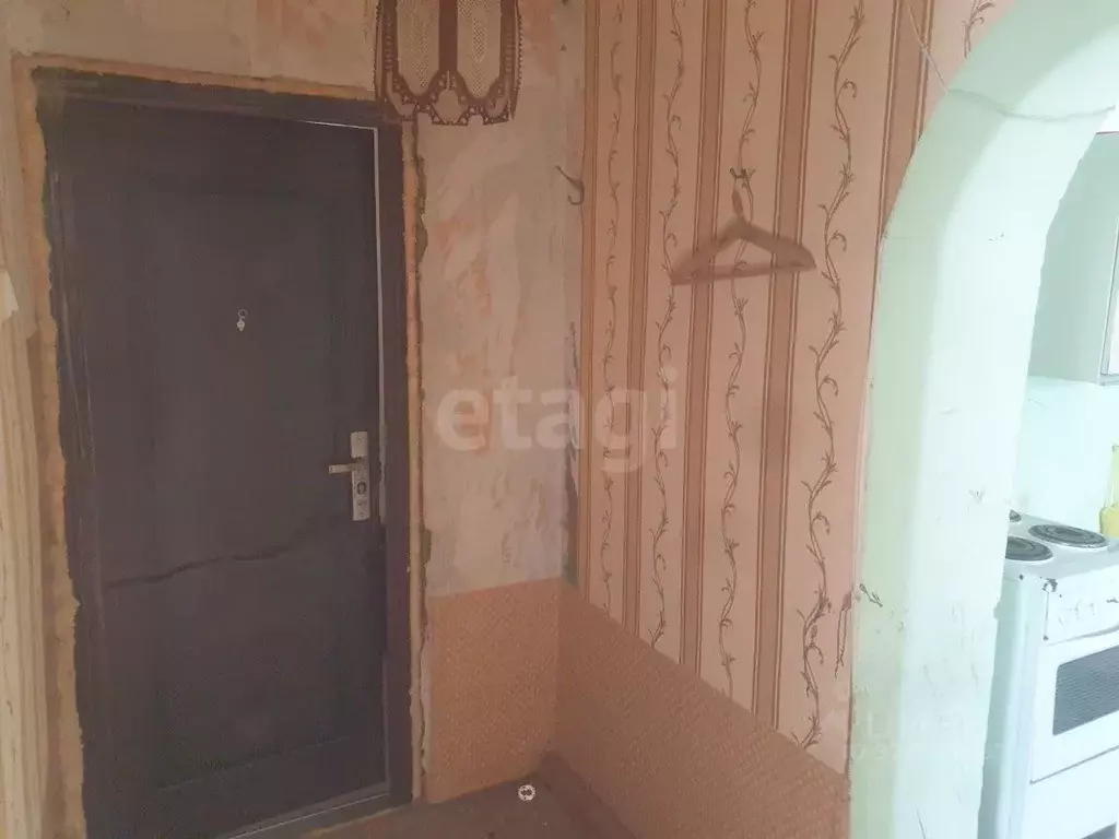 1-к кв. Башкортостан, Кушнаренковский сельсовет, с. Кушнаренково ул. ... - Фото 2