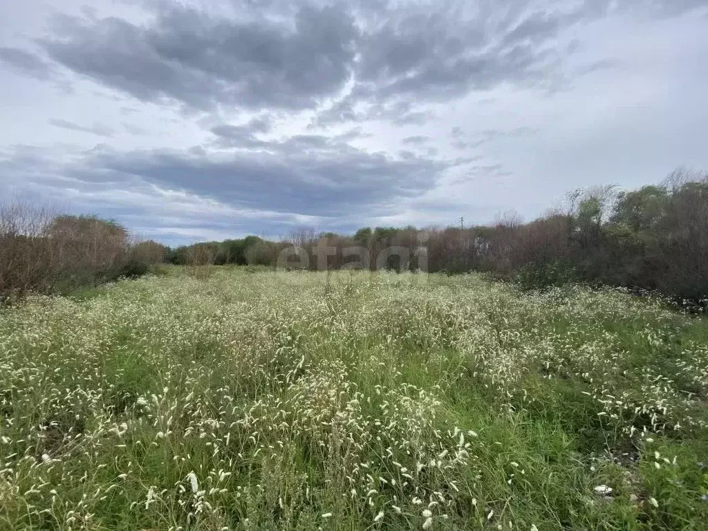 Участок в Забайкальский край, Чита № 128 Кучугур СНТ, 111Н (6.3 сот.) - Фото 1