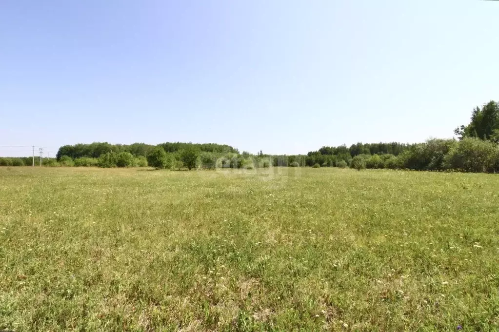 Участок в Тюменская область, Тюменский муниципальный округ, с. Кулига, ... - Фото 1