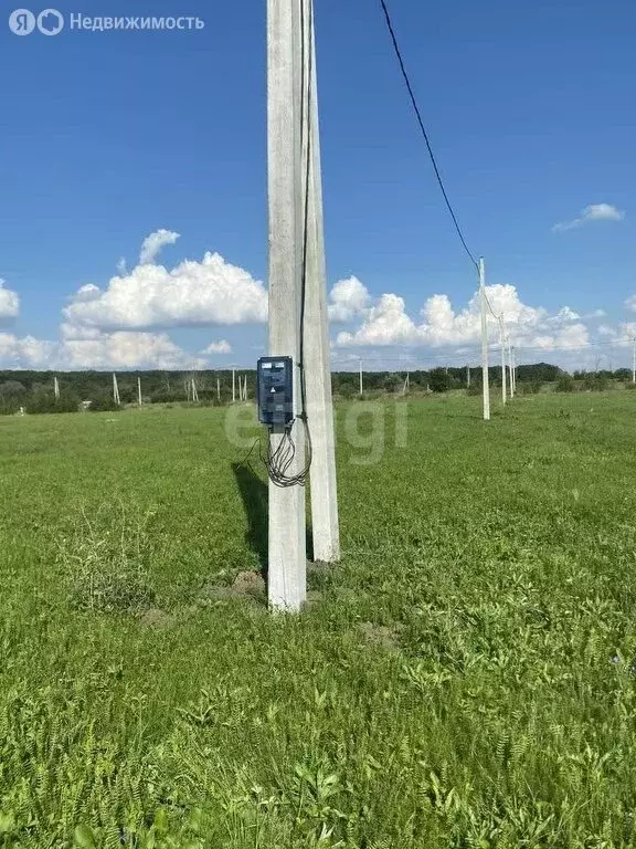 Участок в Воронеж, Лесная улица (8 м) - Фото 0