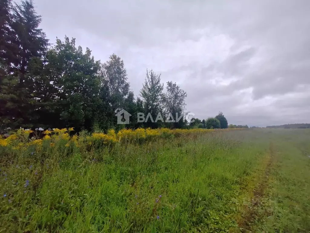 Участок в Владимирская область, Суздальский район, Боголюбовское ... - Фото 2