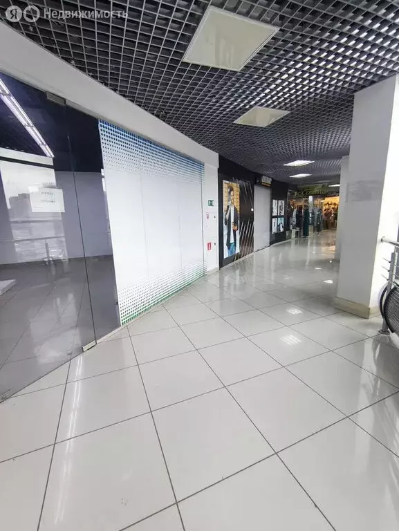 Офис (50.6 м) - Фото 2