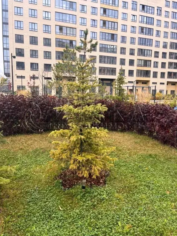 1-к кв. Ленинградская область, Ломоносовский район, Аннинское ... - Фото 1