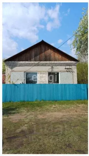 Дом в Амурская область, Ивановский муниципальный округ, с. Черемхово ... - Фото 0