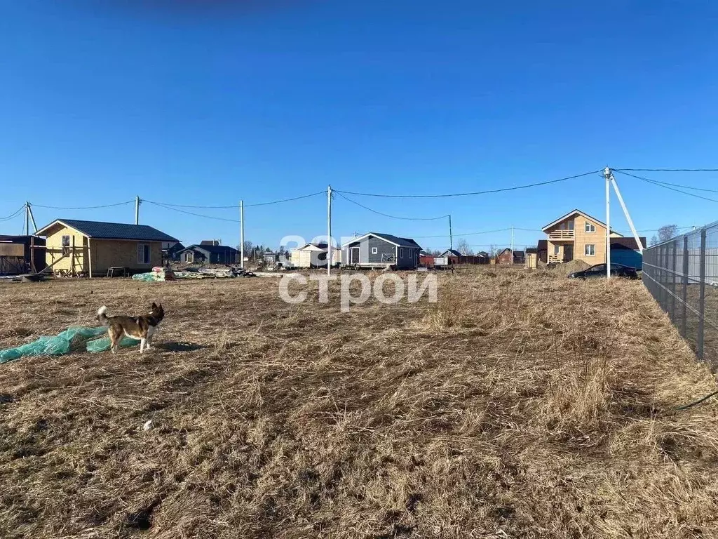 Участок в Ленинградская область, Всеволожский район, Рахьинское ... - Фото 1