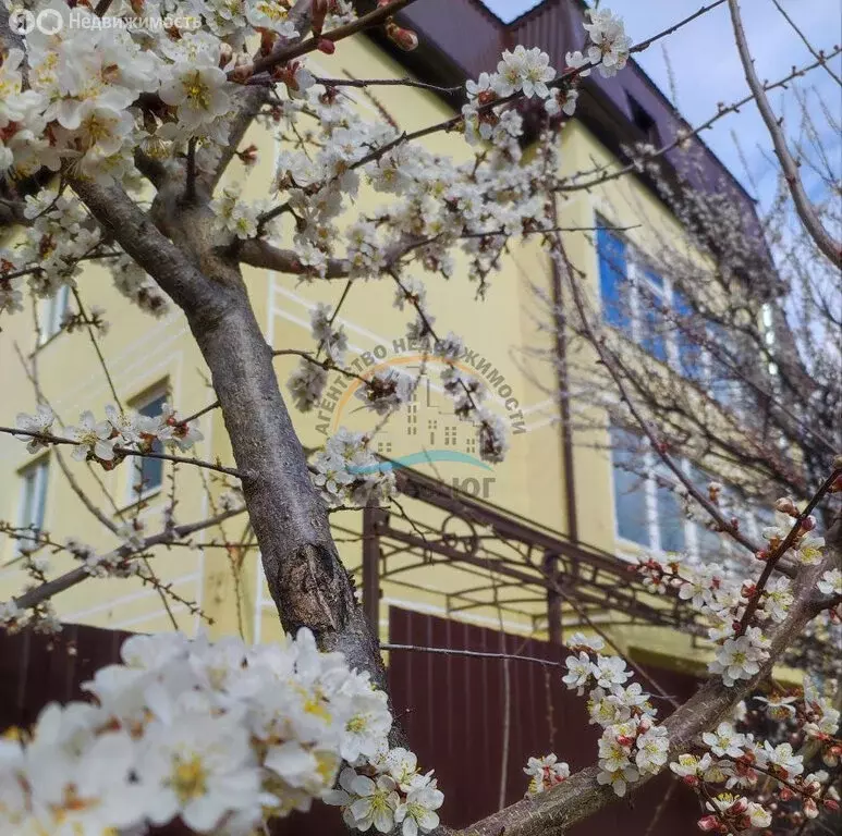 Квартира-студия: село Супсех, Зеркальная улица, 41 (29 м) - Фото 0