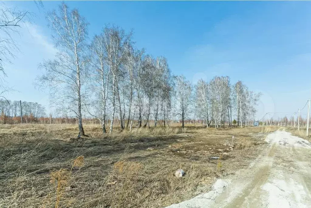 Участок 10 сот. (ИЖС) - Фото 1