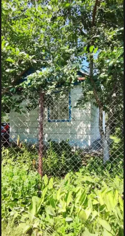 Дом в Энгельсский район, Красноярское муниципальное образование, СНТ ... - Фото 1