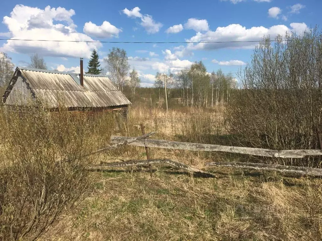 Участок в Новгородская область, Чудовский район, Успенское с/пос, д. ... - Фото 0