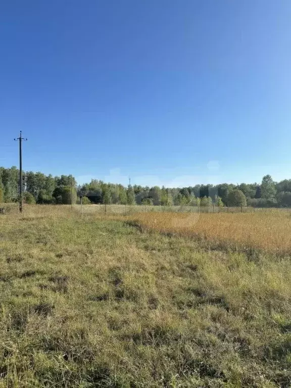 Участок в Тульская область, Веневский муниципальный округ, с. ... - Фото 1