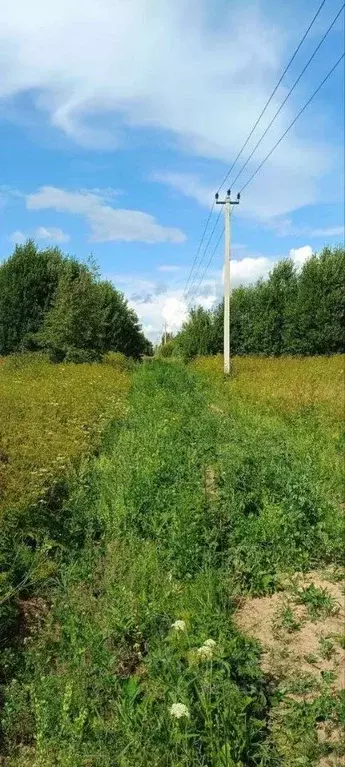Участок в Новгородская область, Чудовский район, Трегубовское с/пос, ... - Фото 2