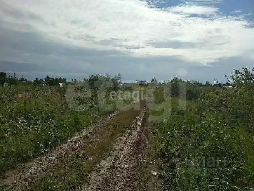 Участок в Тюменская область, Тюмень Поле Чудес садовое товарищество, ... - Фото 2