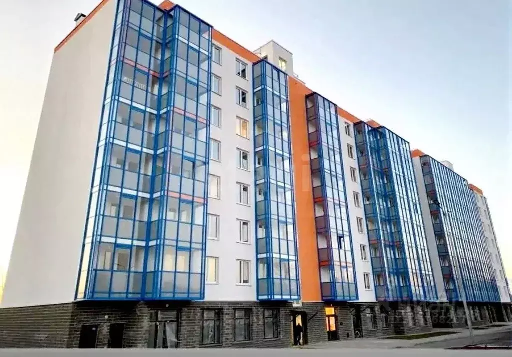 Студия Ленинградская область, Всеволожский район, Заневское городское ... - Фото 1