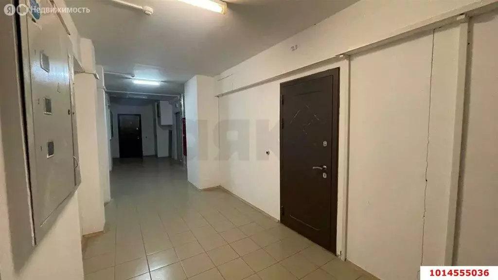 1-комнатная квартира: Краснодар, Прикубанский внутригородской округ, ... - Фото 0